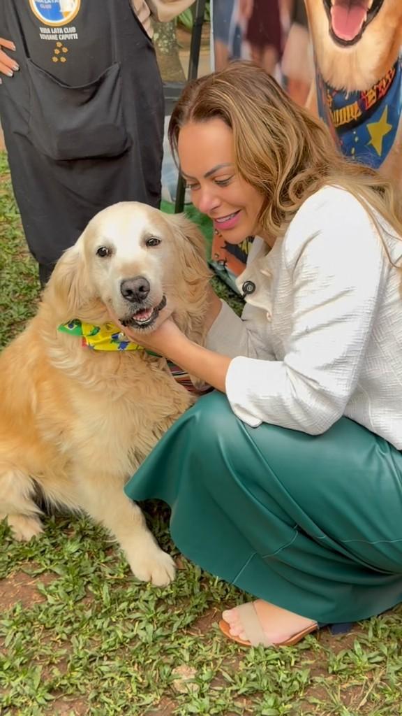 Logan, cachorro de porte grande para adoção em São Paulo - SP