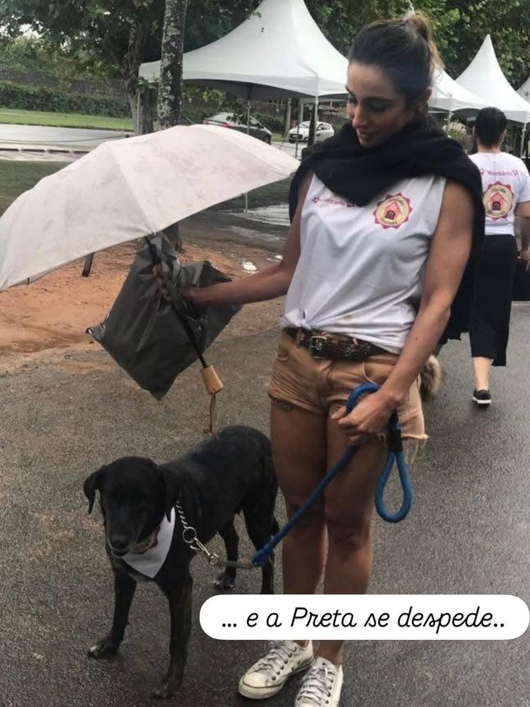 Preta, cachorro de porte grande para adoção em Valinhos - SP